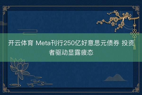 开云体育 Meta刊行250亿好意思元债券 投资者驱动显露疲态