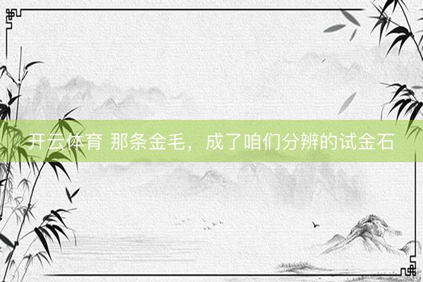 开云体育 那条金毛，成了咱们分辨的试金石