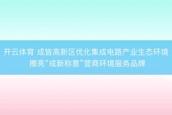 开云体育 成皆高新区优化集成电路产业生态环境 擦亮“成新称意”营商环境服务品牌