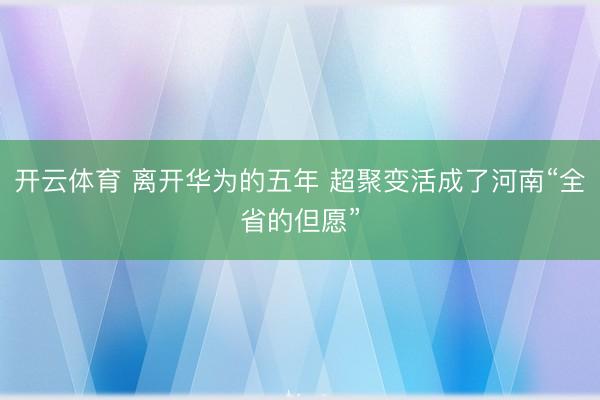 开云体育 离开华为的五年 超聚变活成了河南“全省的但愿”