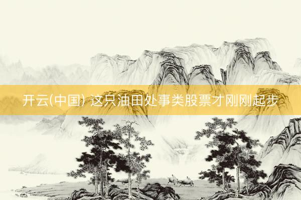 开云(中国) 这只油田处事类股票才刚刚起步