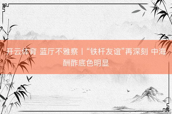开云体育 蓝厅不雅察丨“铁杆友谊”再深刻 中海酬酢底色明显