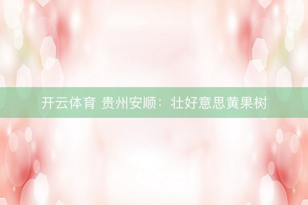 开云体育 贵州安顺：壮好意思黄果树